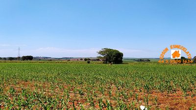 Chácara, 2 hectares - Foto 4