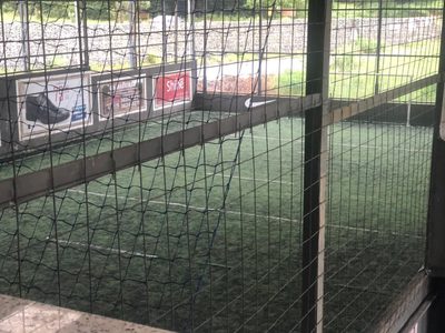 Chácara, 1 quarto - Foto 4