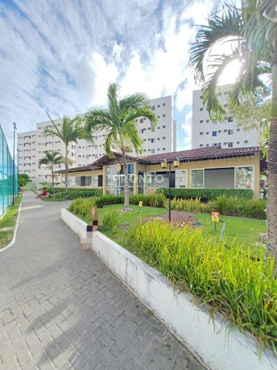 Apartamento, 3 quartos, 53 m² - Foto 2