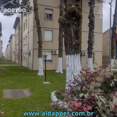 Casa, 2 quartos, 40 m² - Foto 1