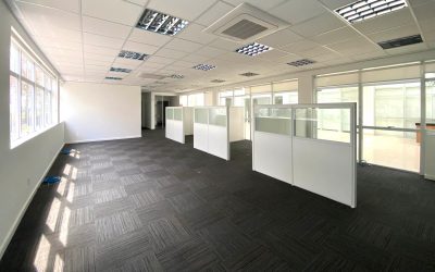 Sala-Conjunto, 637 m² - Foto 4