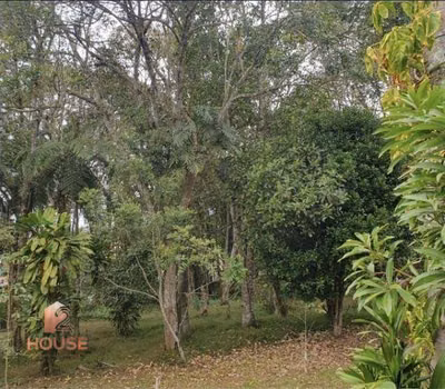 Chácara, 1 quarto, 4900 m² - Foto 4
