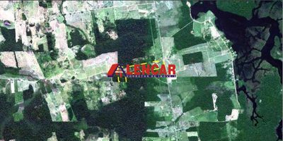 Terreno, 99 hectares - Foto 4