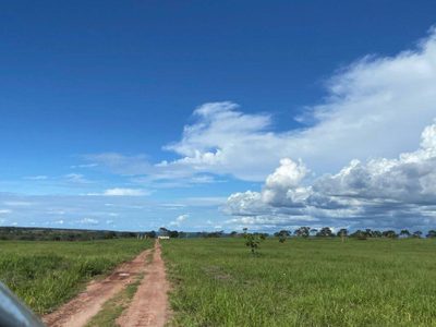 Fazenda, 589 m² - Foto 3