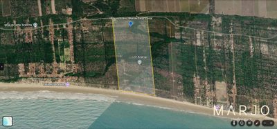 Terreno, 49 hectares - Foto 2