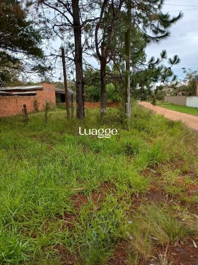 Terreno, 208 m² - Foto 1