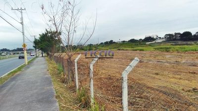 Terreno, 15 hectares - Foto 3