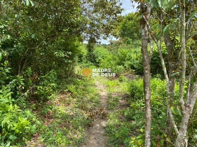 Sítio, 3 quartos, 2 hectares - Foto 5