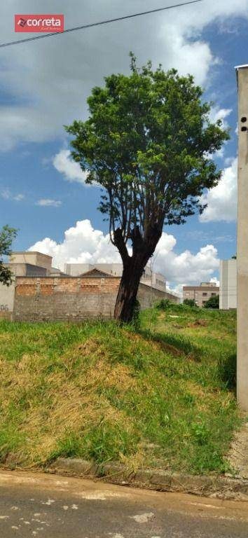 Terreno, 250 m² - Foto 3