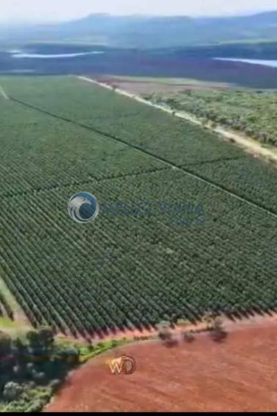 Fazenda, 5 quartos - Foto 2