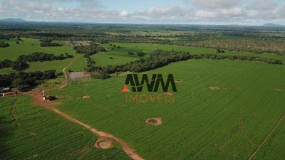 Fazenda, 477 hectares - Foto 2