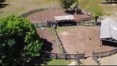 Fazenda, 1200 hectares - Foto 1