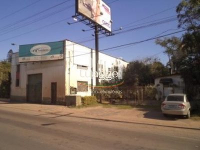 Terreno, 2501 m² - Foto 5