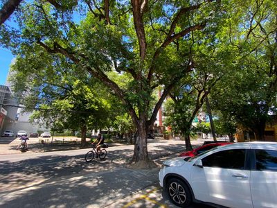 Loja-Salão, 39 m² - Foto 4