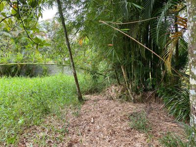 Terreno, 1000 m² - Foto 4