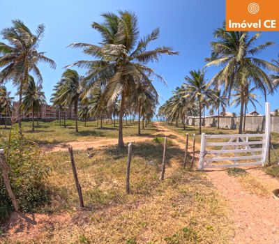 Terreno, 2 hectares - Foto 2