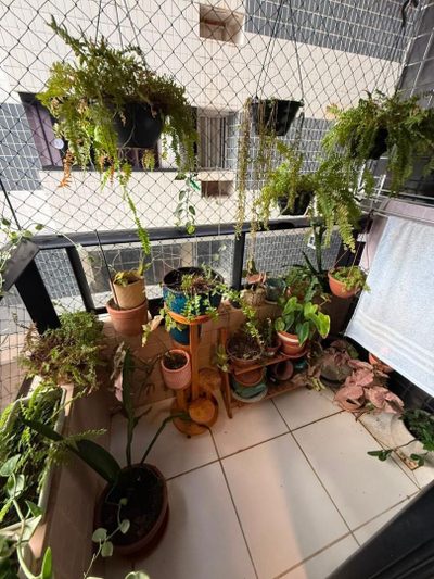 Apartamento, 2 quartos, 62 m² - Foto 4