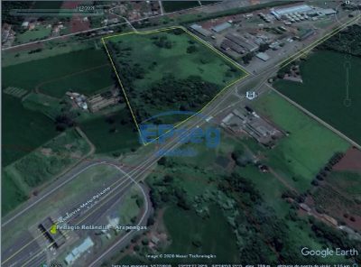 Terreno, 9 hectares - Foto 3