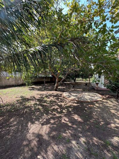 Chácara, 3 quartos, 1 hectares - Foto 3