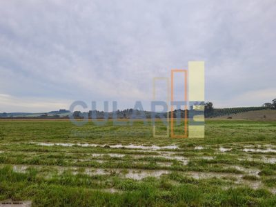 Chácara, 1419 hectares - Foto 3