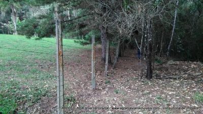 Terreno, 2 hectares - Foto 4