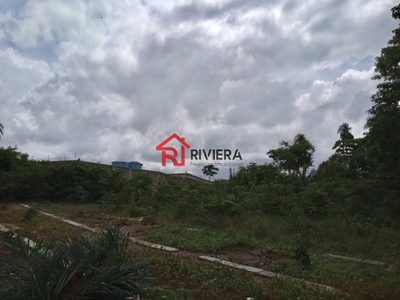 Loteamento e Condomínio, 1 hectares - Foto 4