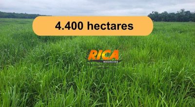 Fazenda, 4400 hectares - Foto 1