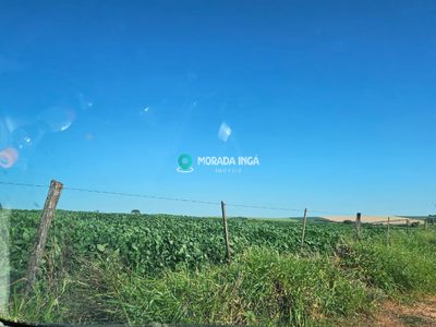 Chácara, 20 hectares - Foto 3