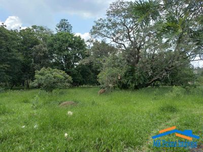 Terreno, 6400 m² - Foto 5