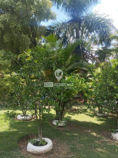 Casa, 2 quartos, 200 m² - Foto 4
