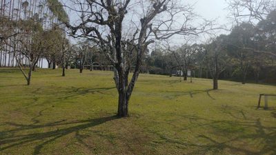 Terreno, 15 hectares - Foto 4