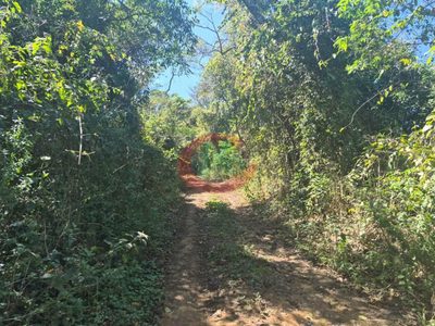 Terreno, 2 hectares - Foto 4