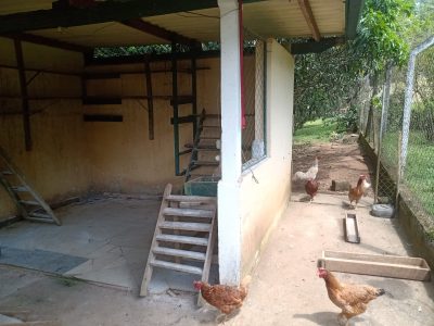 Sítio, 3 quartos, 11 m² - Foto 5