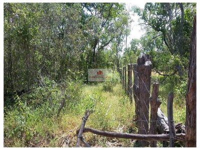 Fazenda, 7000 m² - Foto 2