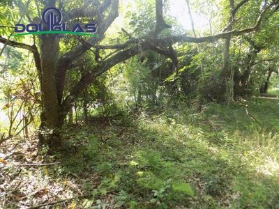 Terreno, 600 m² - Foto 1