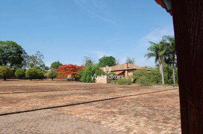 Fazenda, 404 hectares - Foto 3