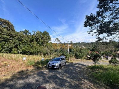 Terreno, 326 m² - Foto 3
