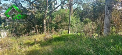 Terreno, 258 m² - Foto 3