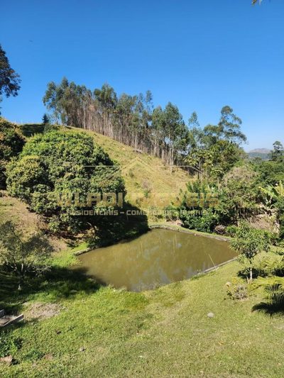 Chácara, 4 hectares - Foto 2