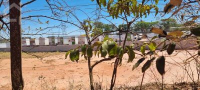 Depósito-Galpão - Foto 3