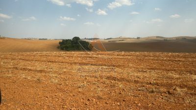 Fazenda, 218 hectares - Foto 1