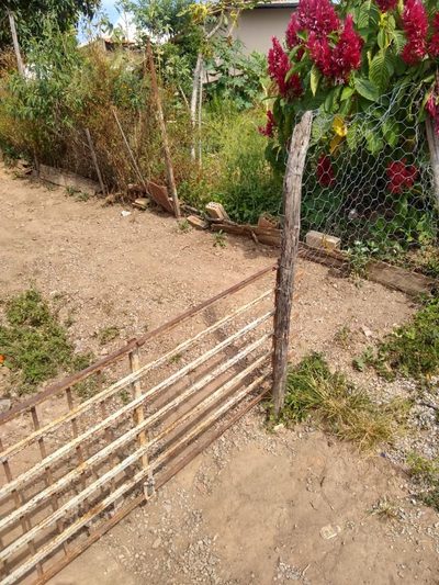 Terreno, 360 m² - Foto 4