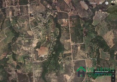 Sítio, 4 quartos, 5 hectares - Foto 3
