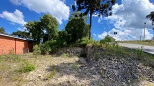 Terreno, 363 hectares - Foto 1