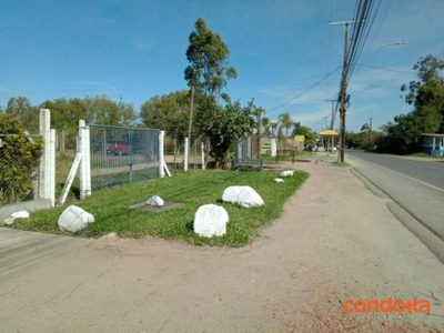 Terreno, 10000 m² - Foto 4