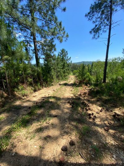 Terreno, 400 m² - Foto 4