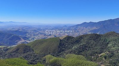 Fazenda, 252 hectares - Foto 4