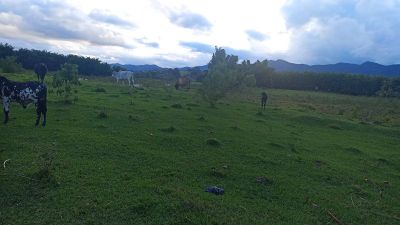 Fazenda, 169 hectares - Foto 3