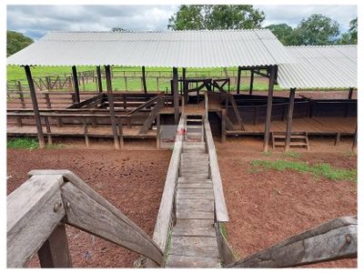 Fazenda, 2574 m² - Foto 5