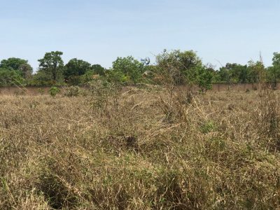 Terreno, 3 hectares - Foto 1